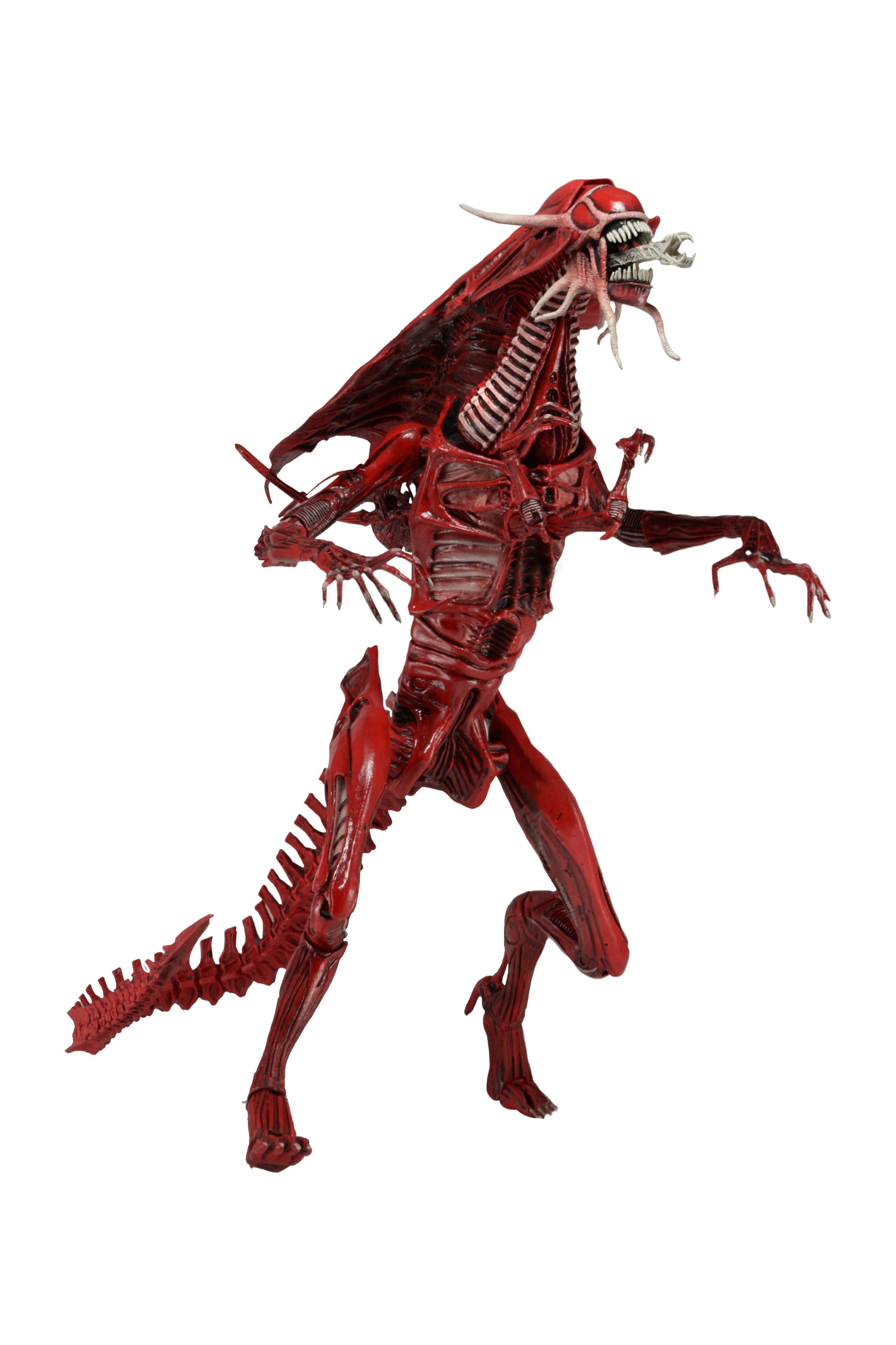 Alien – Ultra Deluxe Boxed Action Figure – Genocide Red Queen - NECA VAULT