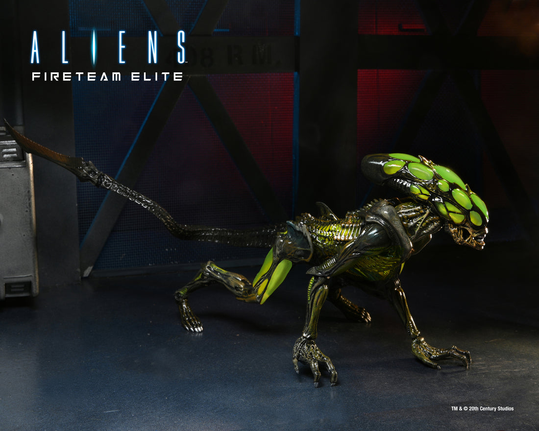 Aliens: Fireteam Elite - Burster Alien 7" Scale Action Figure