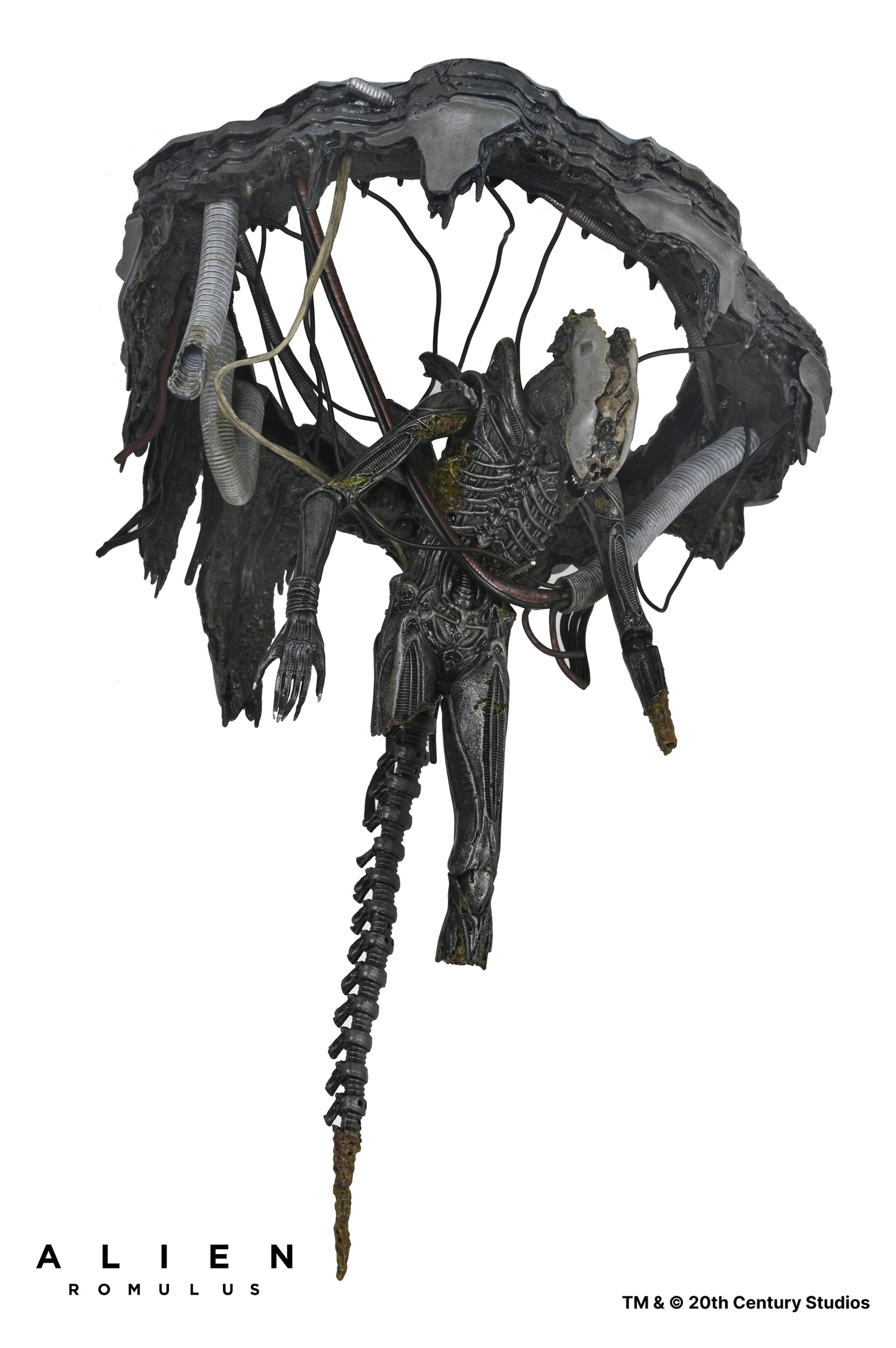Alien: Romulus - Deluxe Suspended Lab Xenomorph XX121 7" Scale Action Figure - NECA