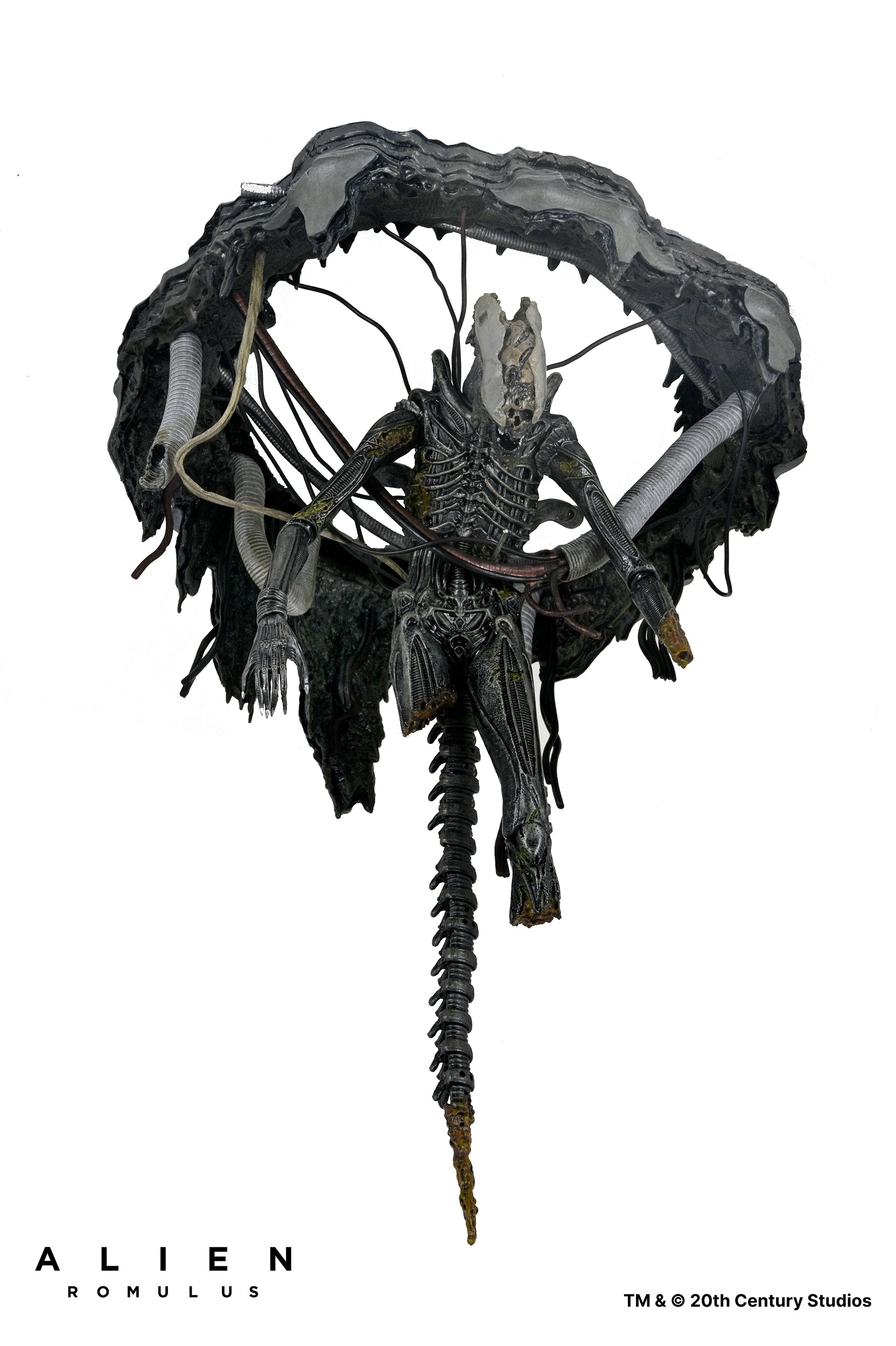 Alien: Romulus - Deluxe Suspended Lab Xenomorph XX121 7" Scale Action Figure - NECA