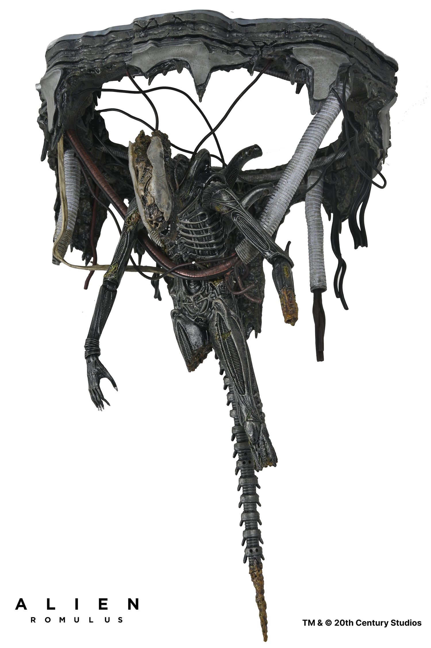 Alien: Romulus - Deluxe Suspended Lab Xenomorph XX121 7" Scale Action Figure - NECA