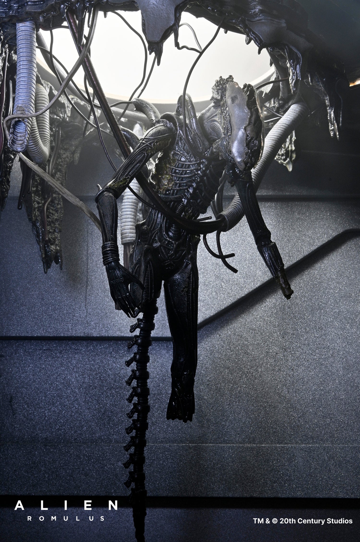 Alien: Romulus - Deluxe Suspended Lab Xenomorph XX121 7" Scale Action Figure - NECA