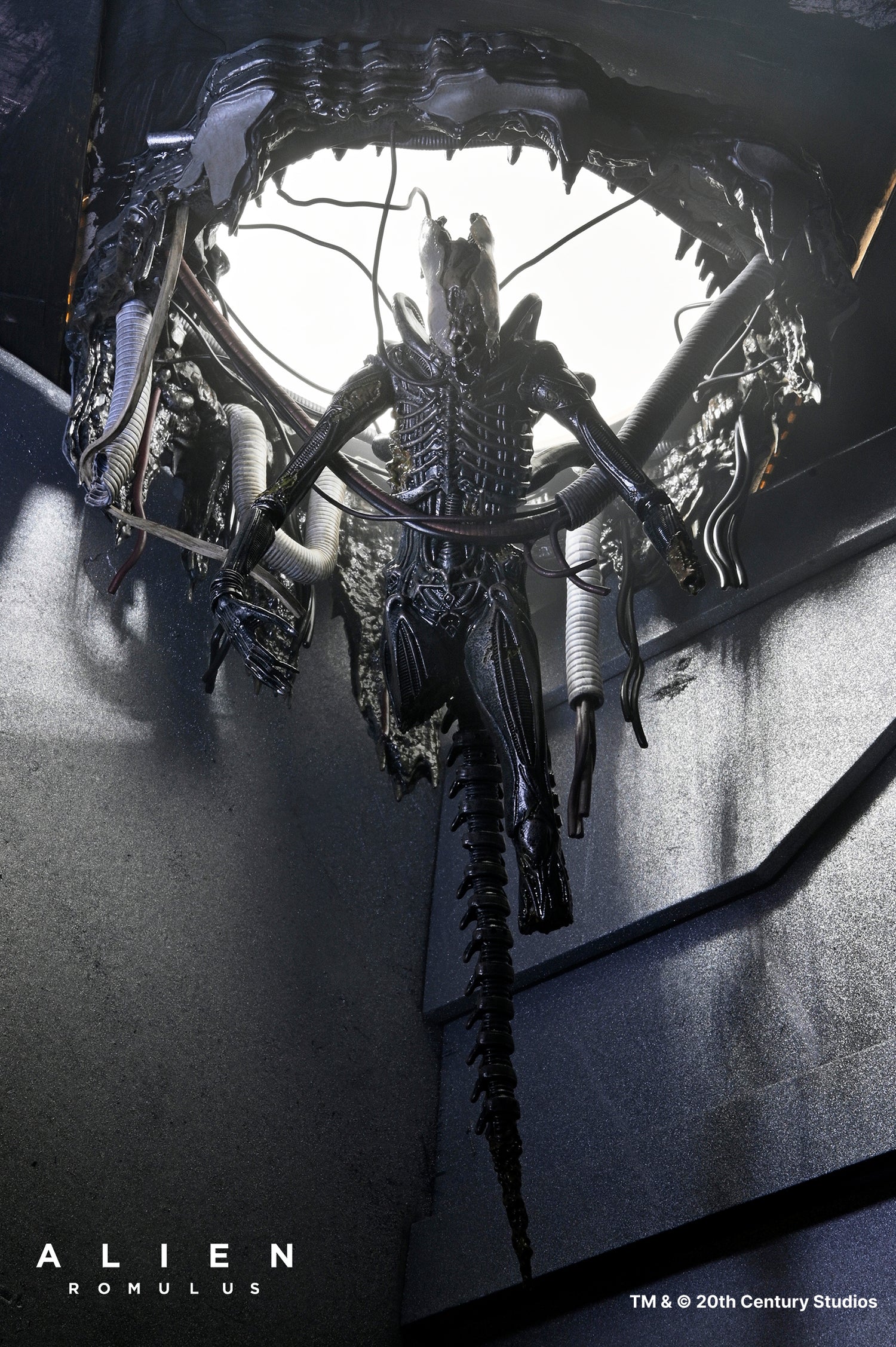 Alien: Romulus - Deluxe Suspended Lab Xenomorph XX121 7" Scale Action Figure - NECA