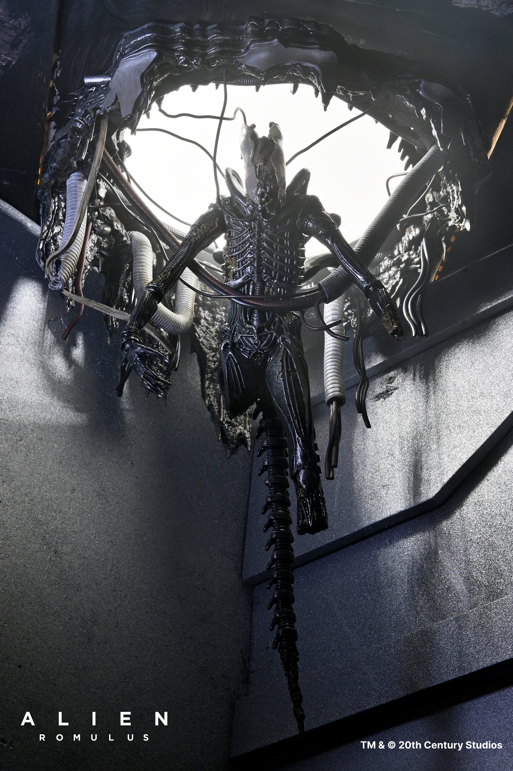 Alien: Romulus - Deluxe Suspended Lab Xenomorph XX121 7" Scale Action Figure - NECA