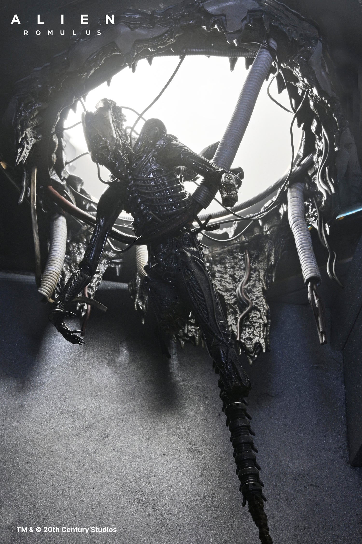 Alien: Romulus - Deluxe Suspended Lab Xenomorph XX121 7" Scale Action Figure - NECA