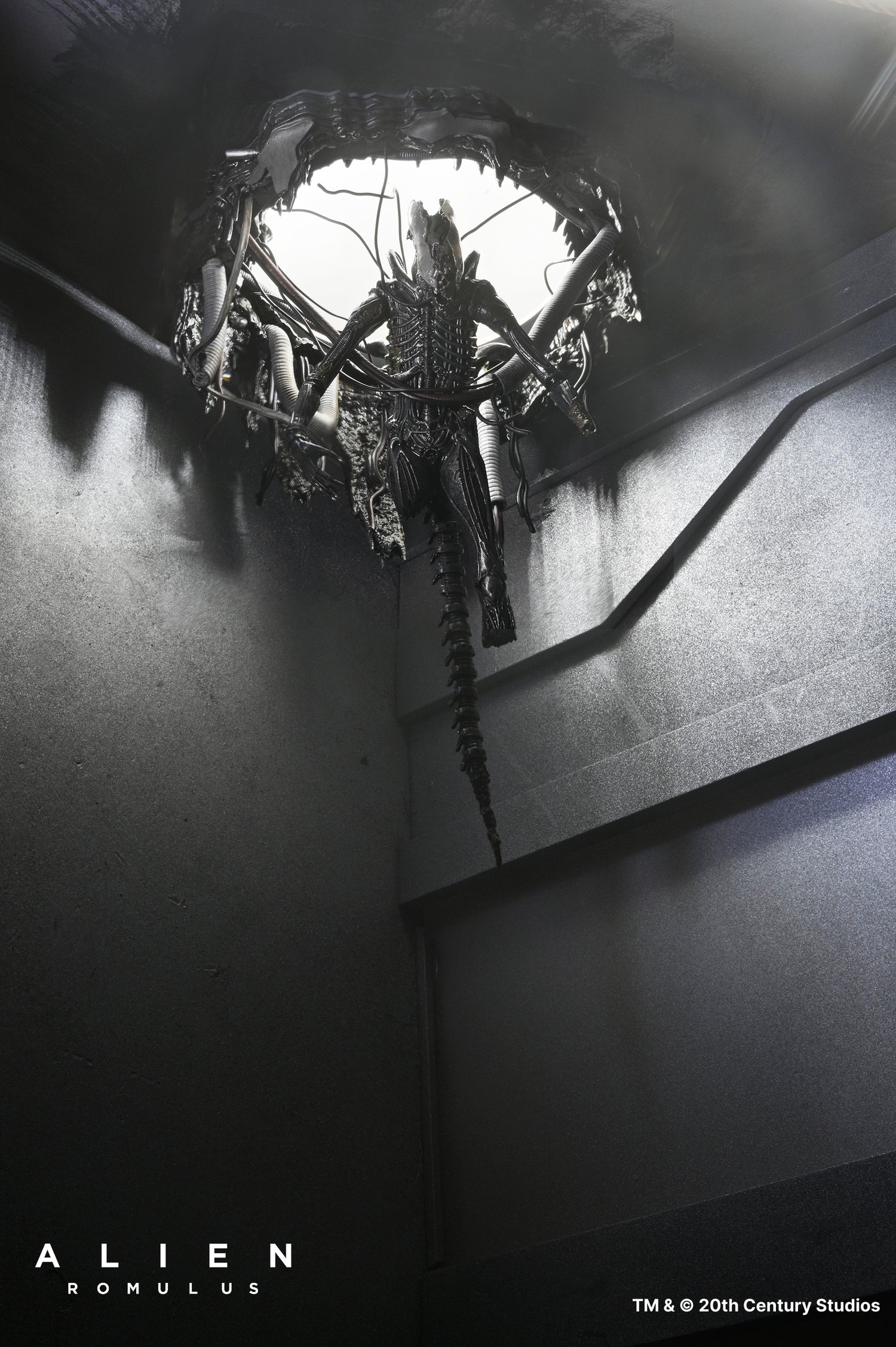 Alien: Romulus - Deluxe Suspended Lab Xenomorph XX121 7" Scale Action Figure - NECA