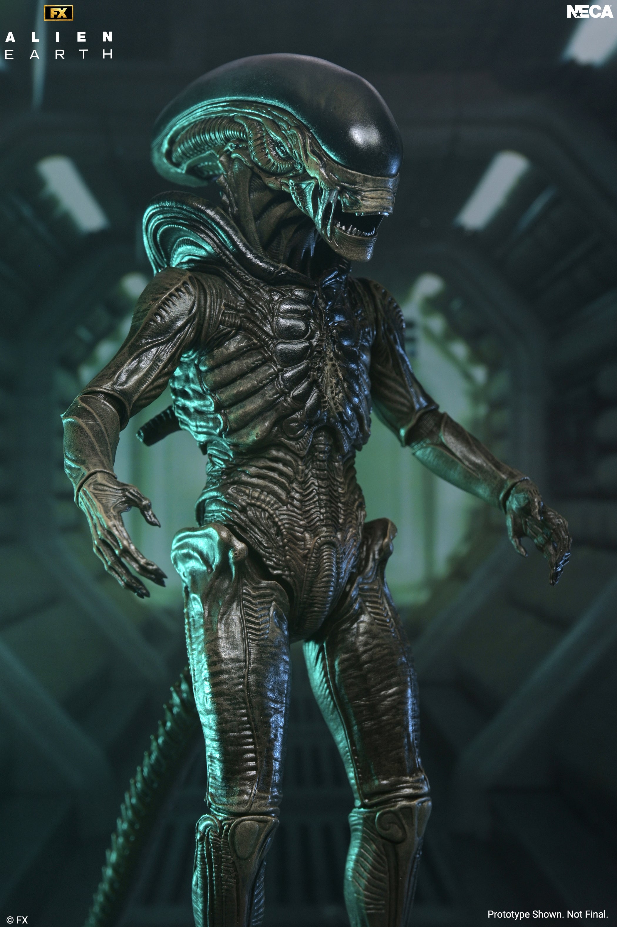 Alien: Earth - Ultimate Xenomorph 7" Scale Action Figure on the NECA Store
