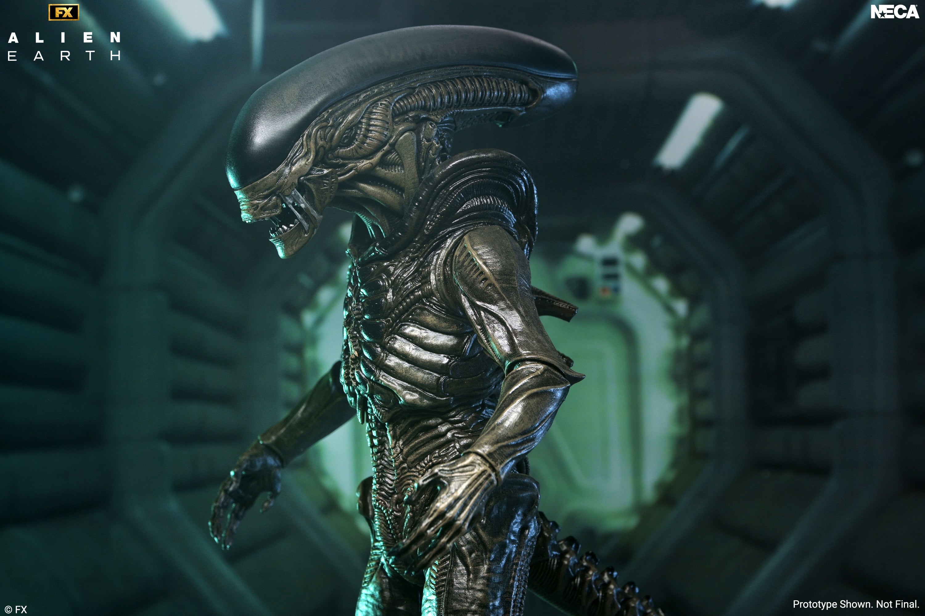 Alien: Earth - Ultimate Xenomorph 7" Scale Action Figure on the NECA Store
