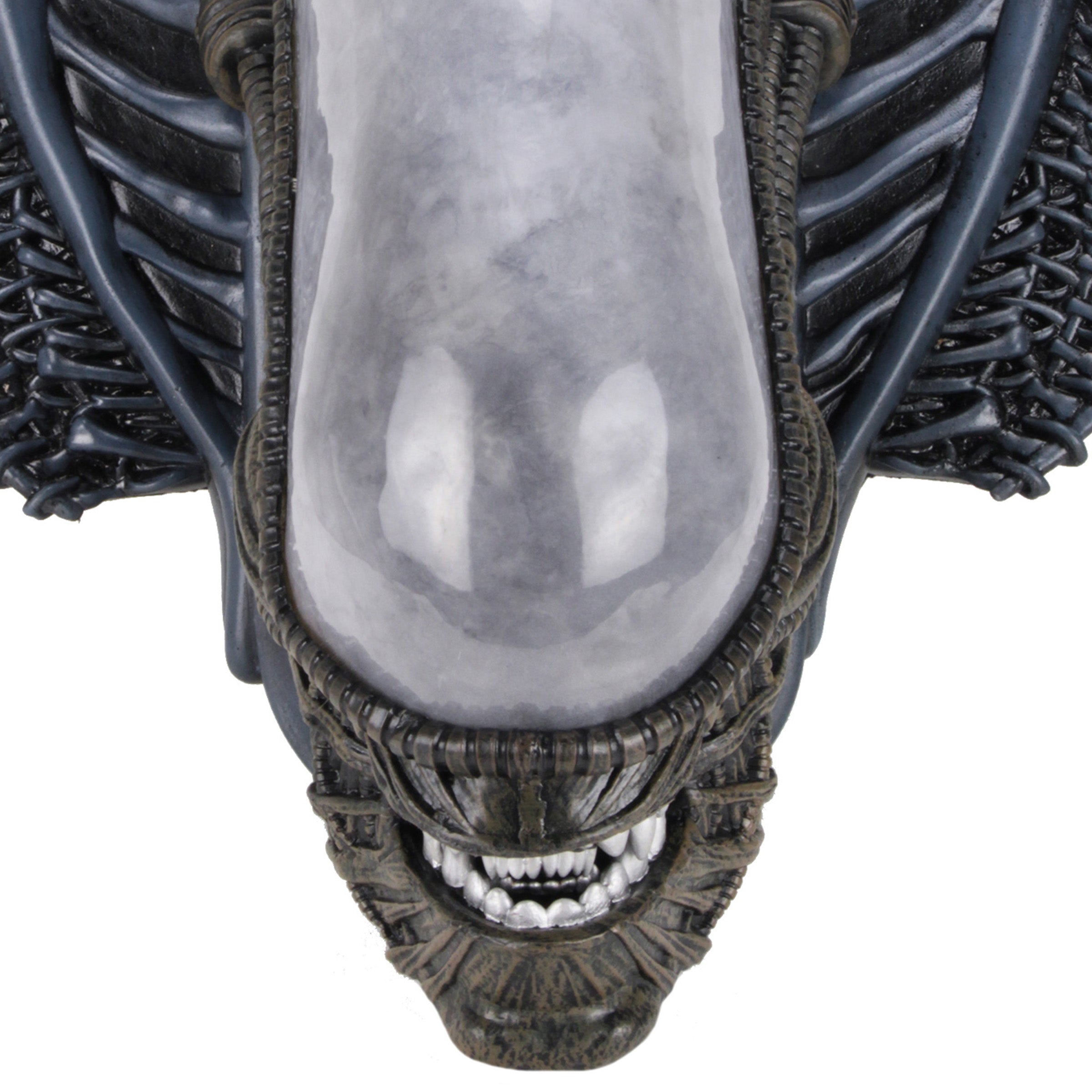 Zoomed in shot of front of Xenomorph Trophy Plaque