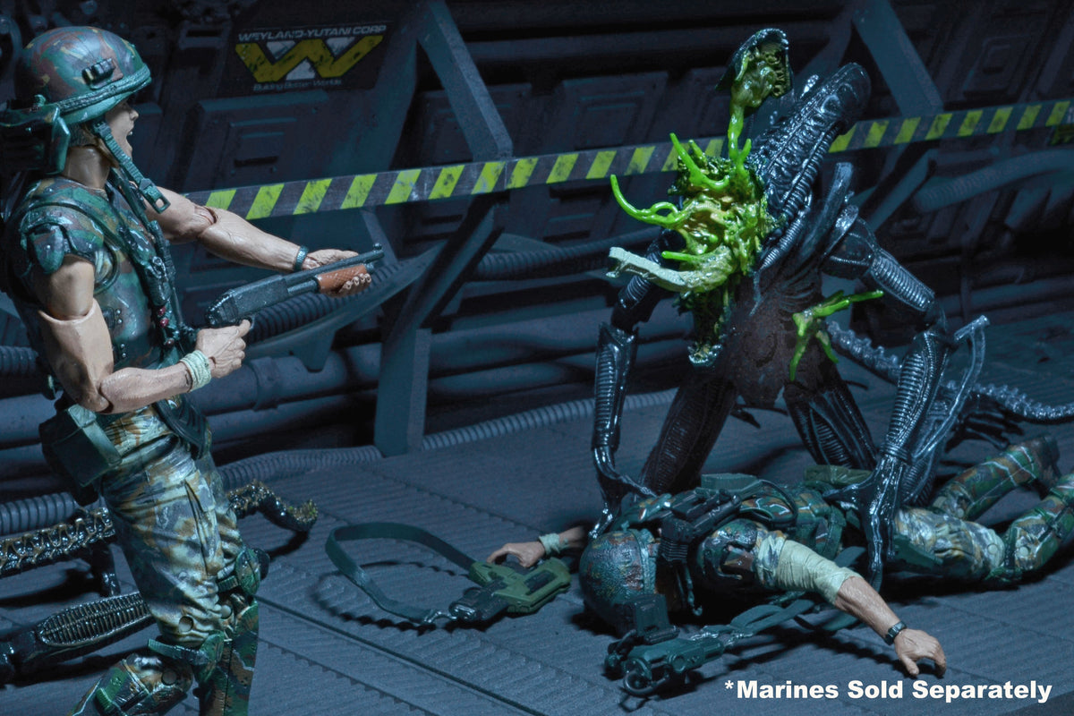 Aliens - Series 12 - Battle Damaged Aliens Warrior 7" Scale Action Figure (BLUE)- NECA