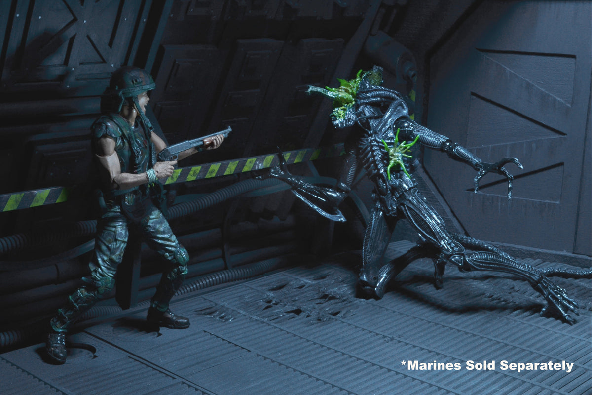 Aliens - Series 12 - Battle Damaged Aliens Warrior 7" Scale Action Figure (BLUE)- NECA