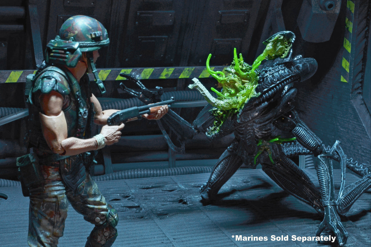 Aliens - Series 12 - Battle Damaged Aliens Warrior 7" Scale Action Figure (BLUE)- NECA
