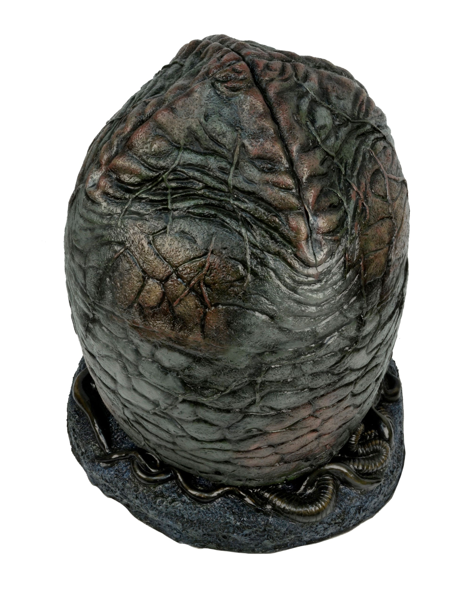 Aliens Xenomorph egg top-view
