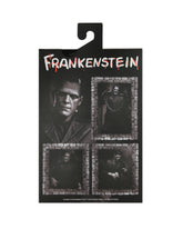 Universal Monsters - Ultimate Frankenstein&