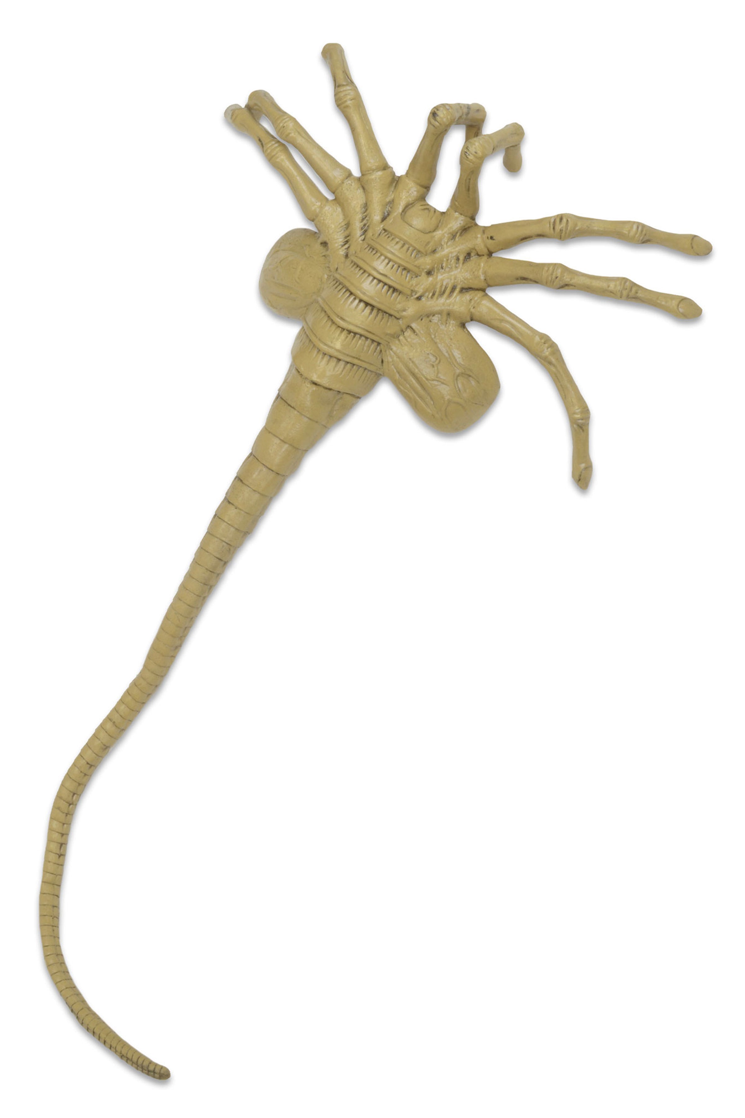 Alien - Facehugger Life-Size Foam Replica - NECA