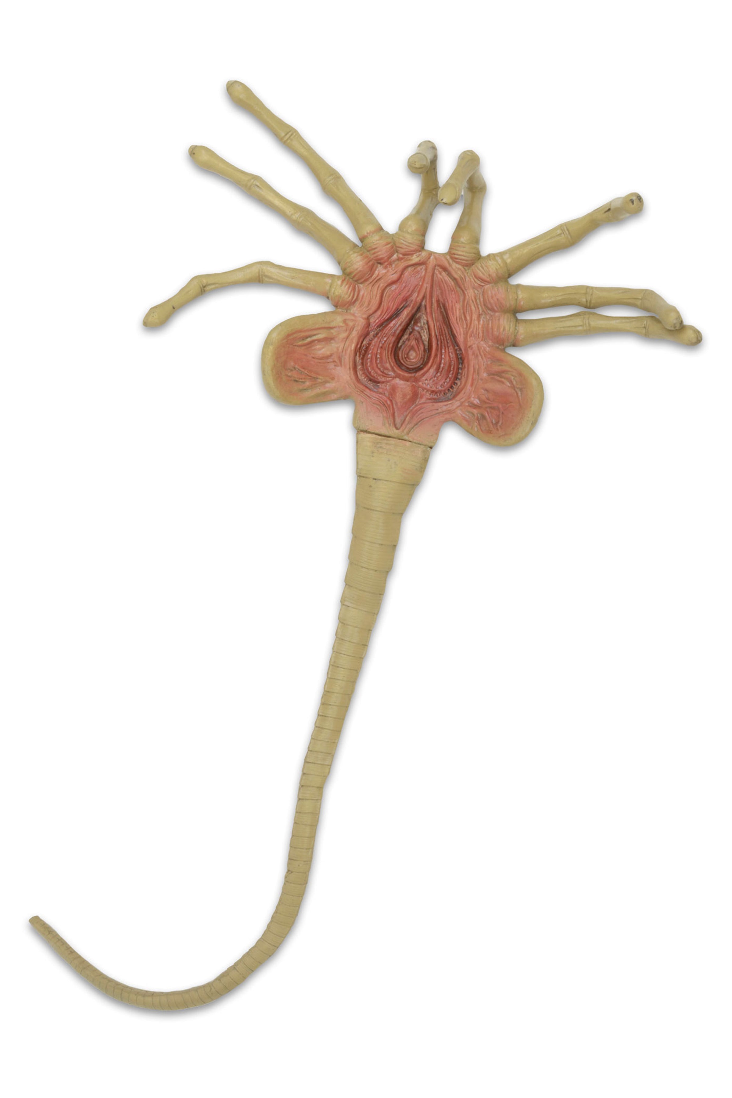 Alien - Facehugger Life-Size Foam Replica - NECA