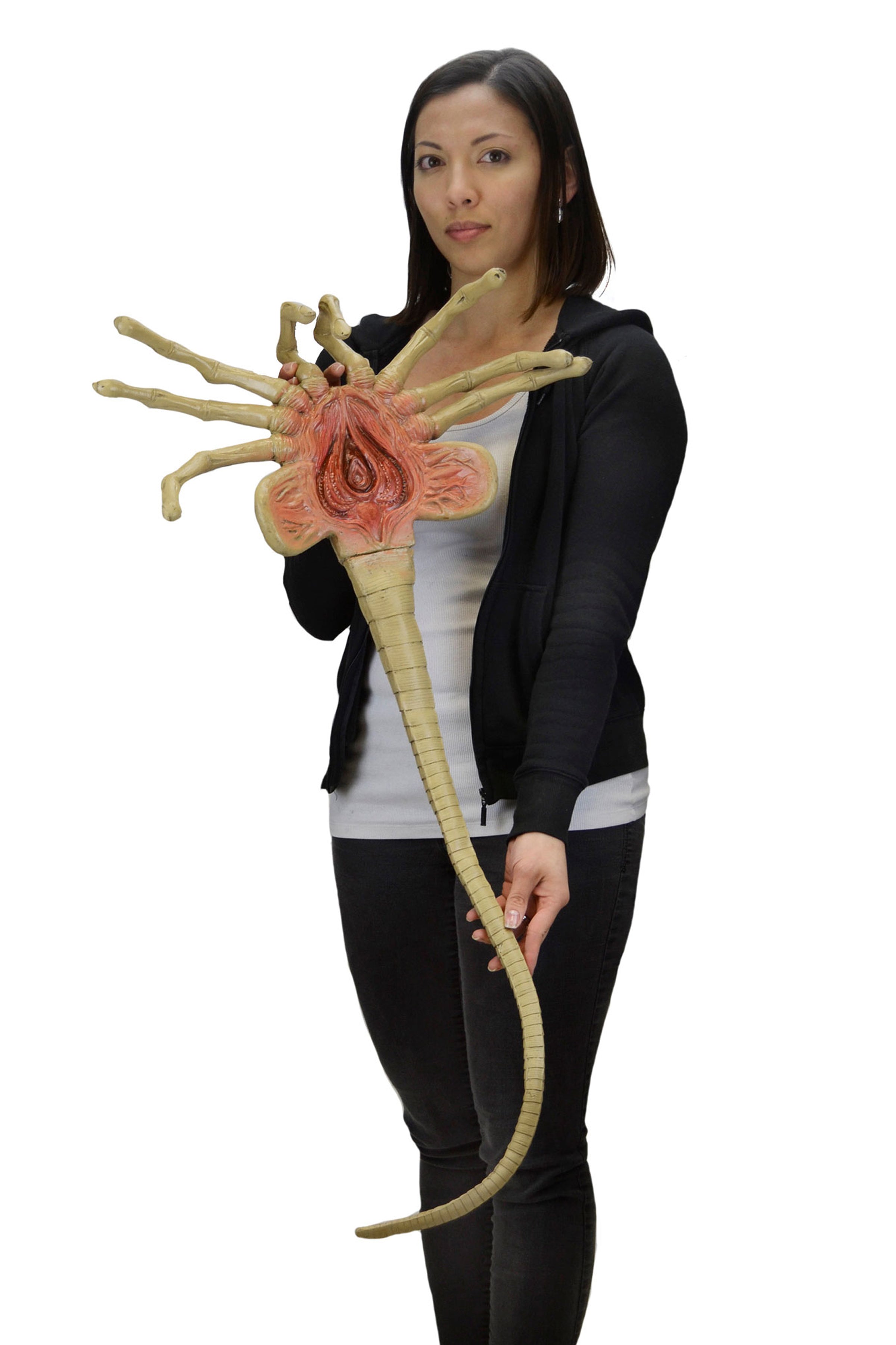 Alien Life Size Facehugger Foam Prop Replica Alien Life Size Facehugger Foam Prop Replica