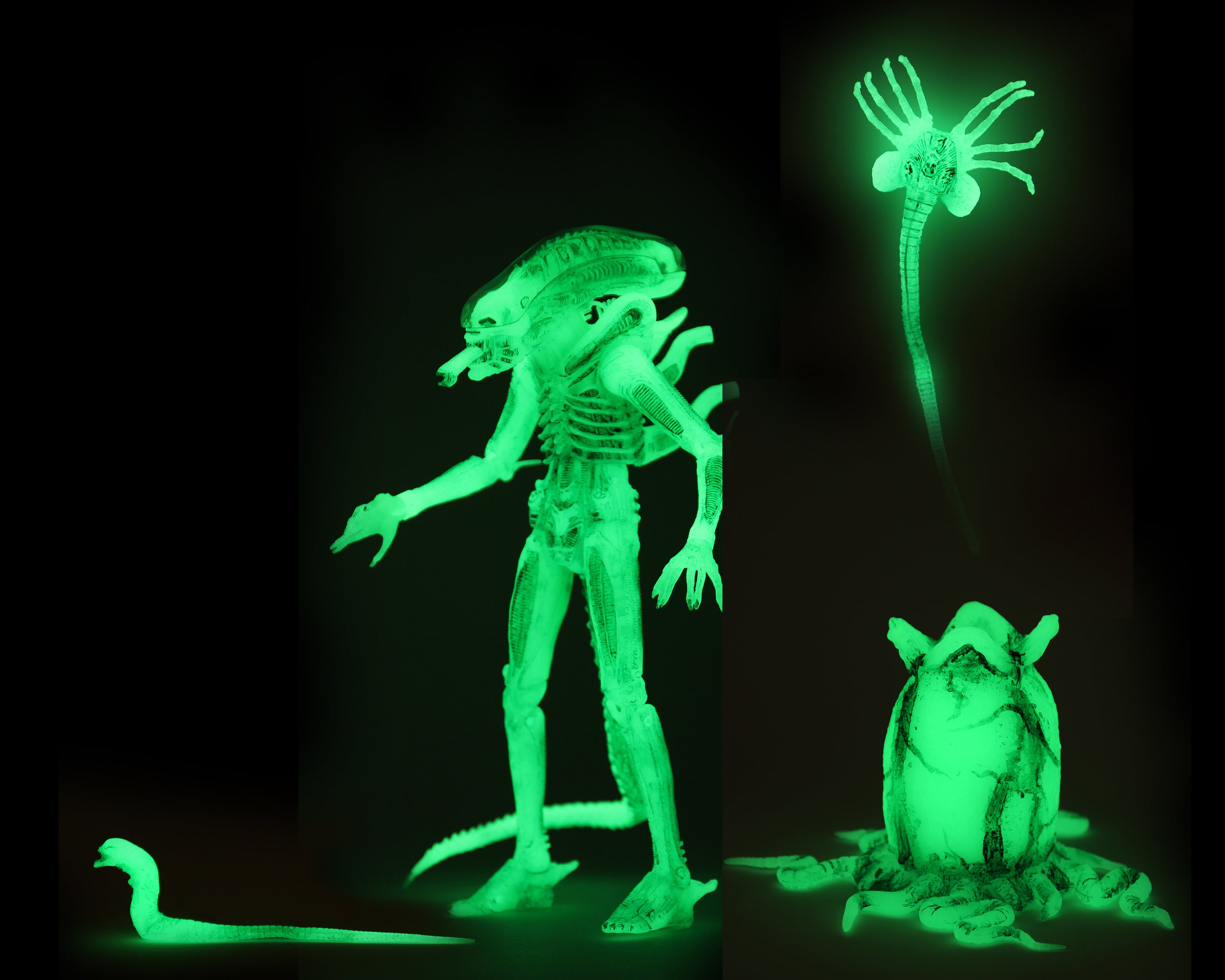 2020 CON EXCLUSIVE: Alien – Ultimate Big Chap 7