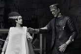 Universal Monsters - The Bride of Frankenstein 90th Anniversary The Monster and His Mate 7" Scale Action Figure 2-Pack (Black & White) on the NECA Store