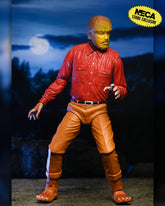 Universal Monsters - Frankenstein, Wolfman, Mummy & Dracula (Classic Movie Monsters) 7” Scale Action Figure Bundle - NECA - Shown: Wolfman
