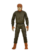 Universal Monsters - Crypt Club Wolfman 7" Scale Action Figure [Loot Crate Exclusive 2024] on the NECA Store