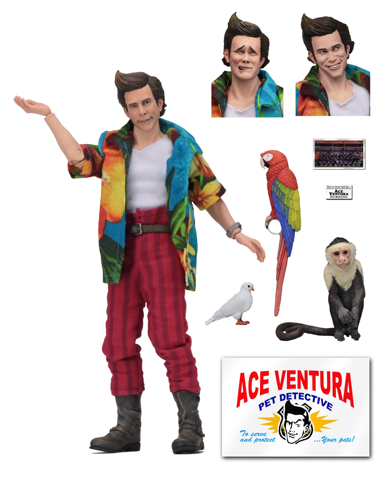 Ace Ventura: Pet Detective - 8" Clothed Action Figure - Ace Ventura