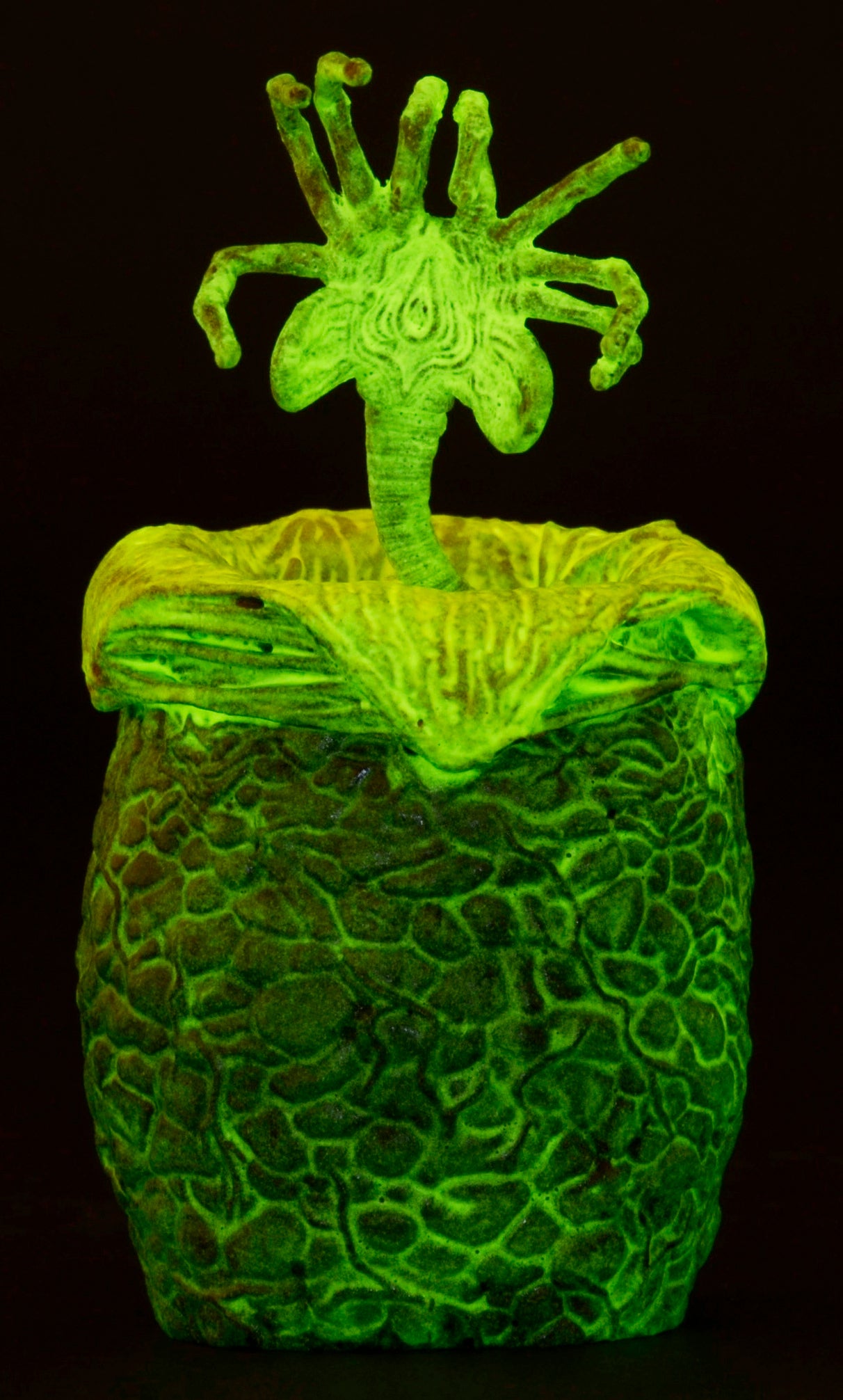Alien - Glow-in-the-Dark Egg Set in Collectible Carton