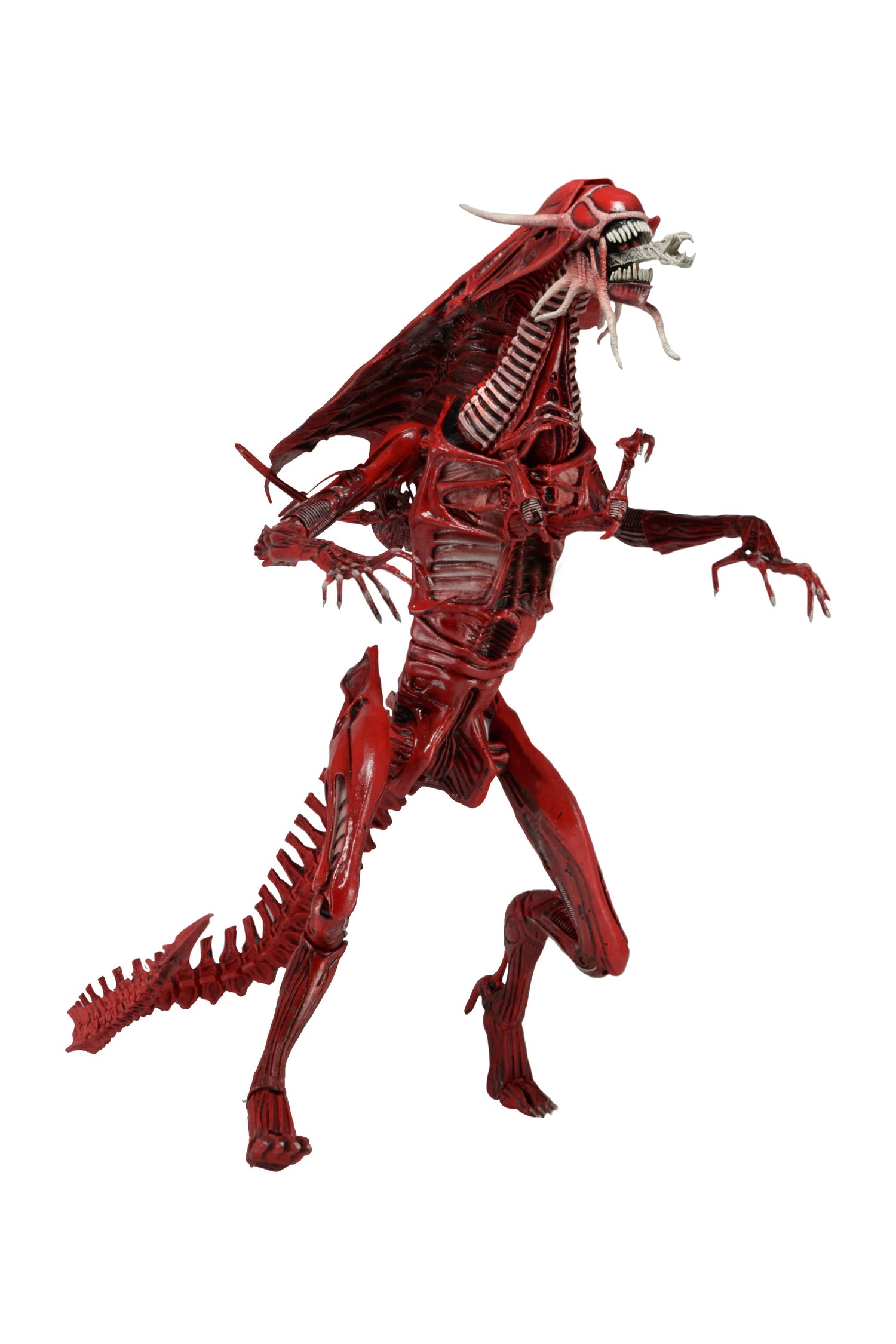 Alien – Ultra Deluxe Boxed Action Figure – Genocide Red Queen - NECA VAULT