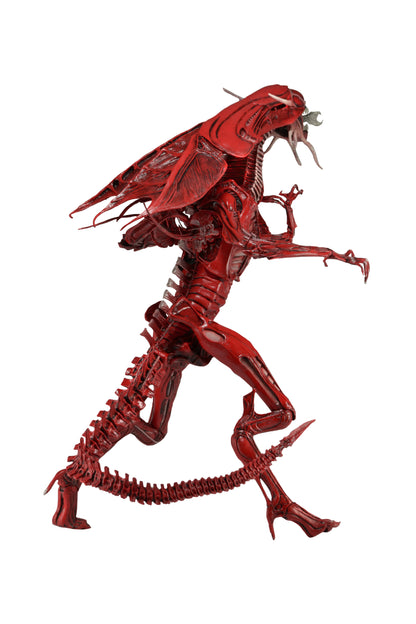Alien – Ultra Deluxe Boxed Action Figure – Genocide Red Queen - NECA VAULT
