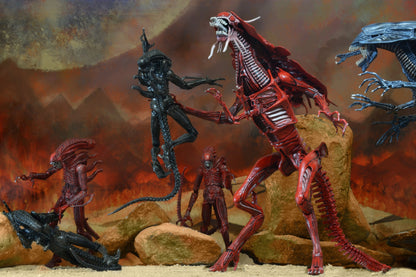 Alien – Ultra Deluxe Boxed Action Figure – Genocide Red Queen - NECA VAULT