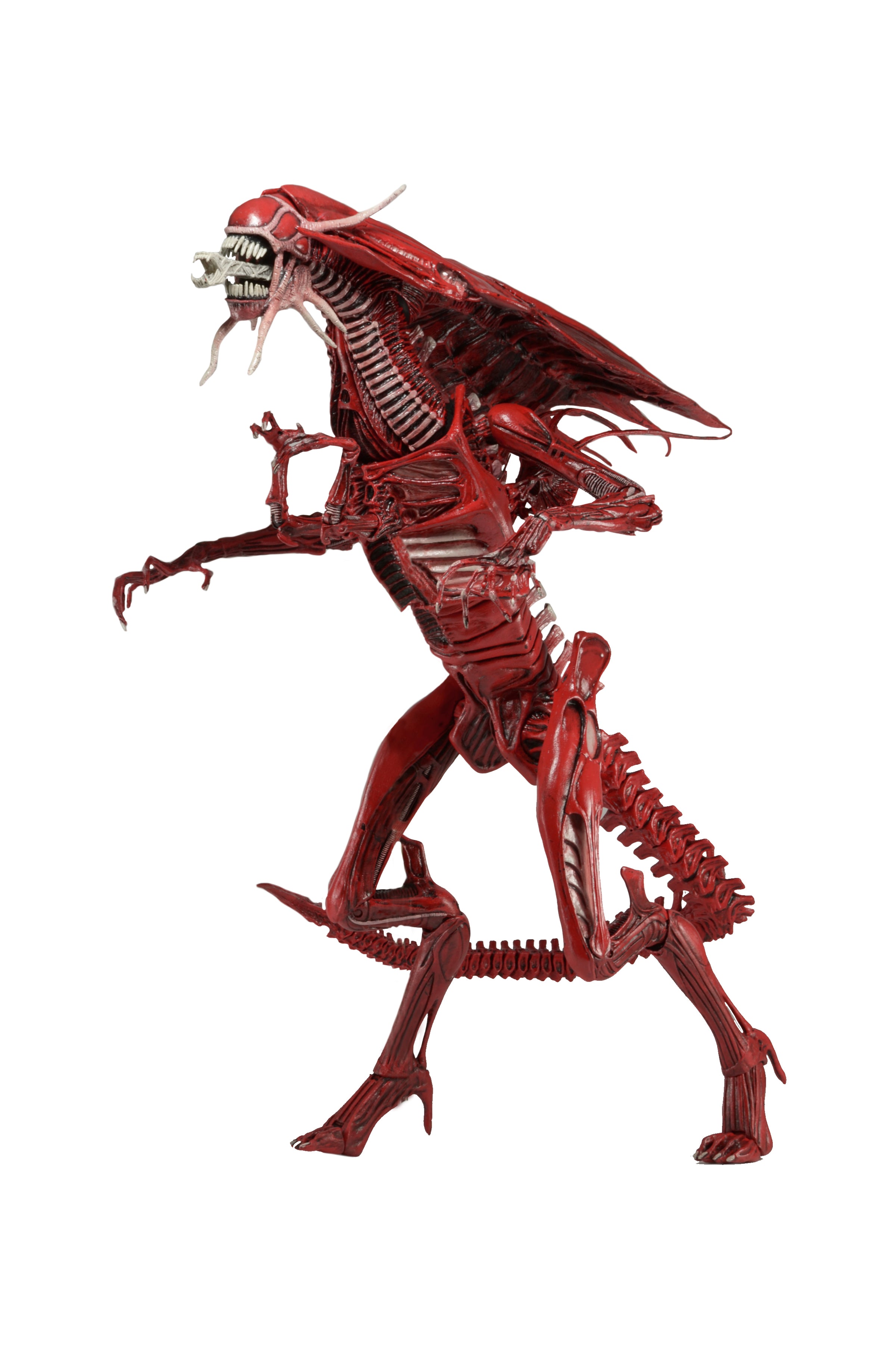Alien – Ultra Deluxe Boxed Action Figure – Genocide Red Queen - NECA VAULT
