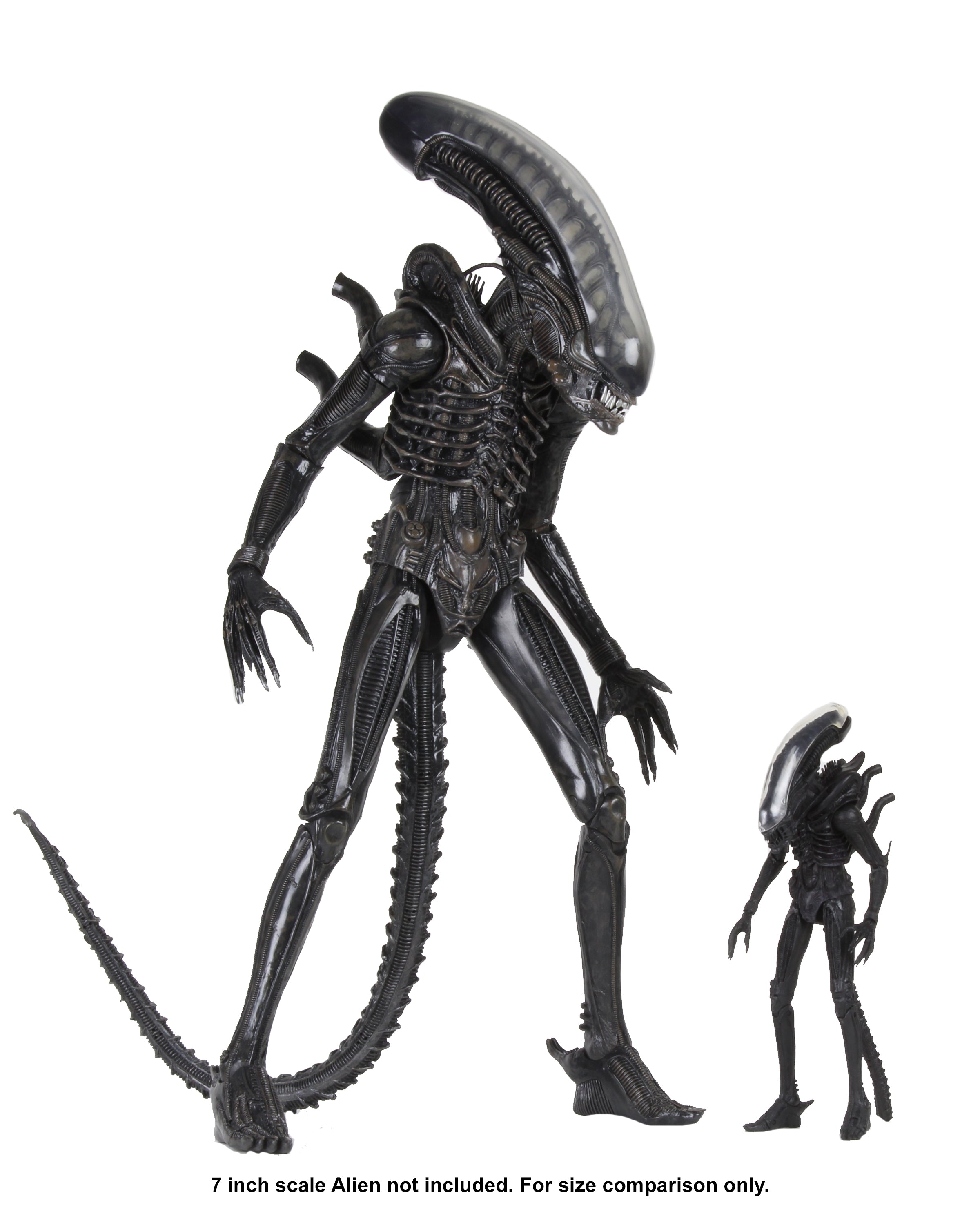 NECA 1/4 エイリアン Alien - Big Chap 1/4 Scale Action Figure – NECA
