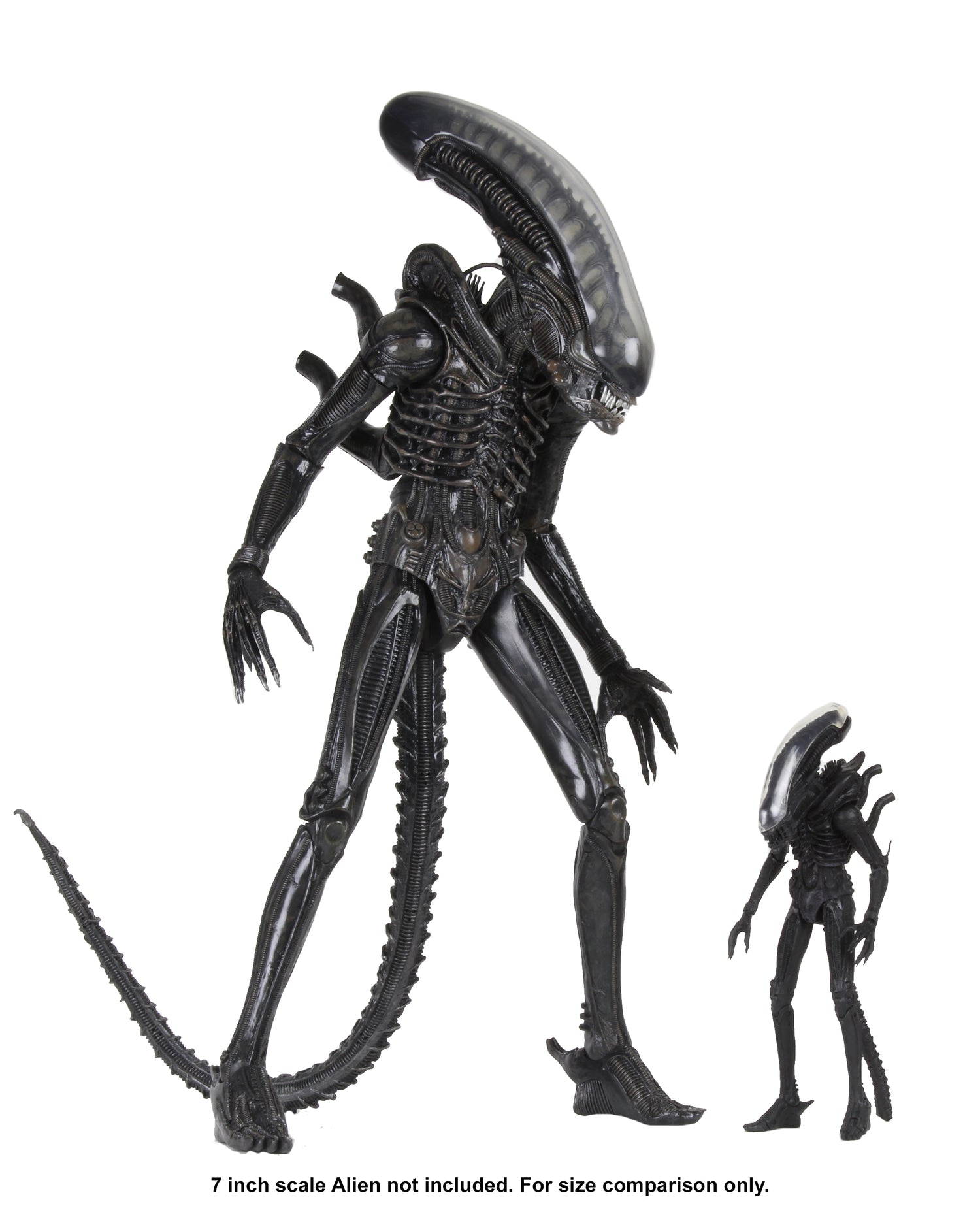 Alien - Big Chap 1/4 Scale Action Figure