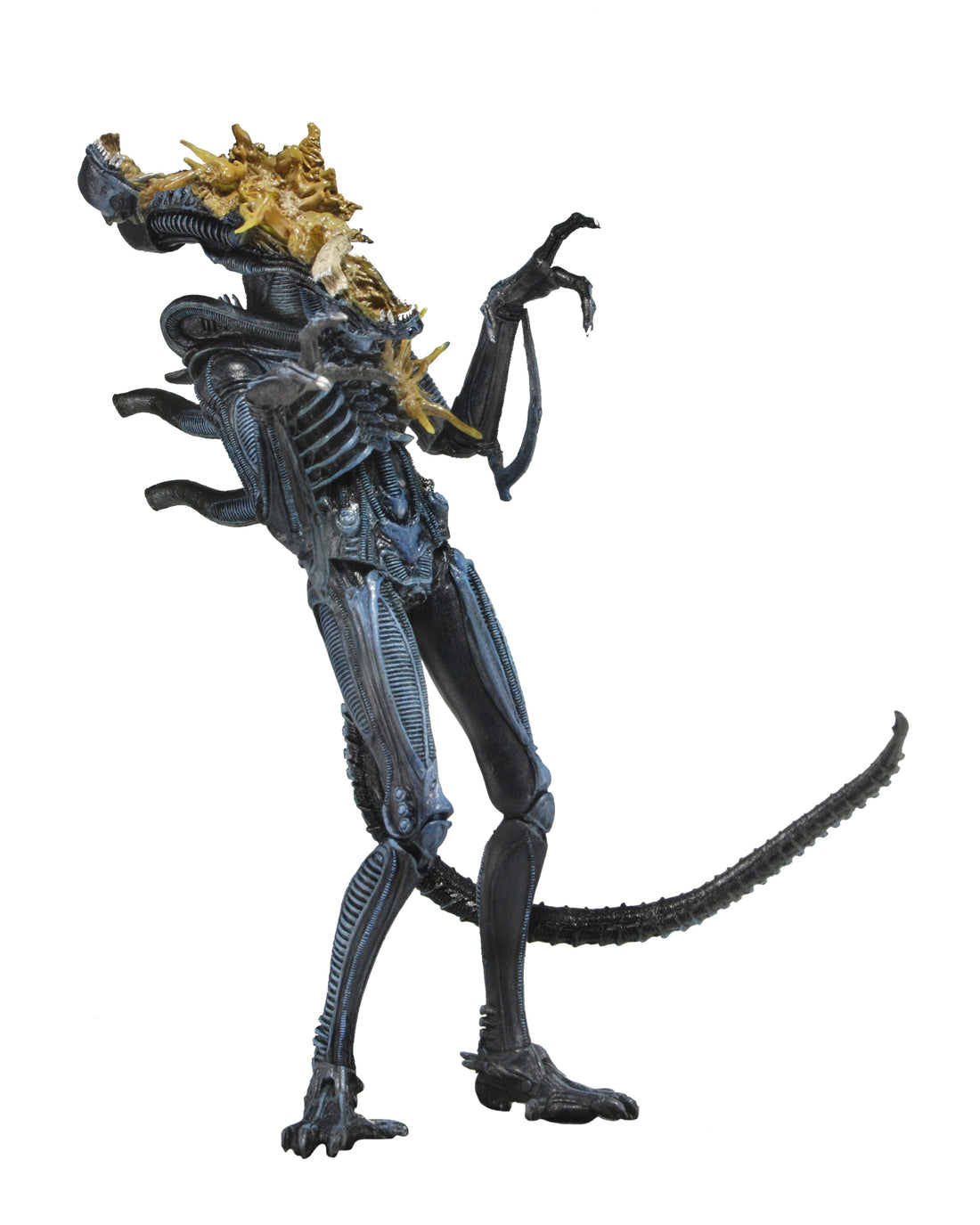 Aliens - Series 12 - Battle Damaged Aliens Warrior 7" Scale Action Figure (BLUE)- NECA