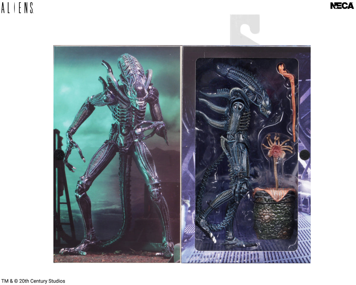 Aliens - Ultimate Blue Warrior 7” Scale Action Figure