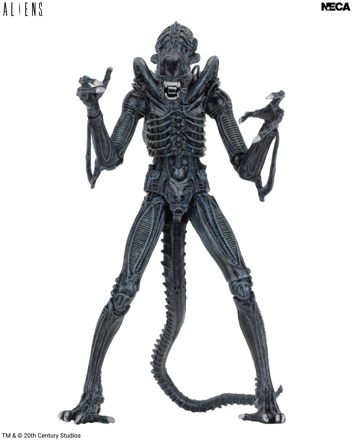 Aliens - Ultimate Blue Warrior 7” Scale Action Figure