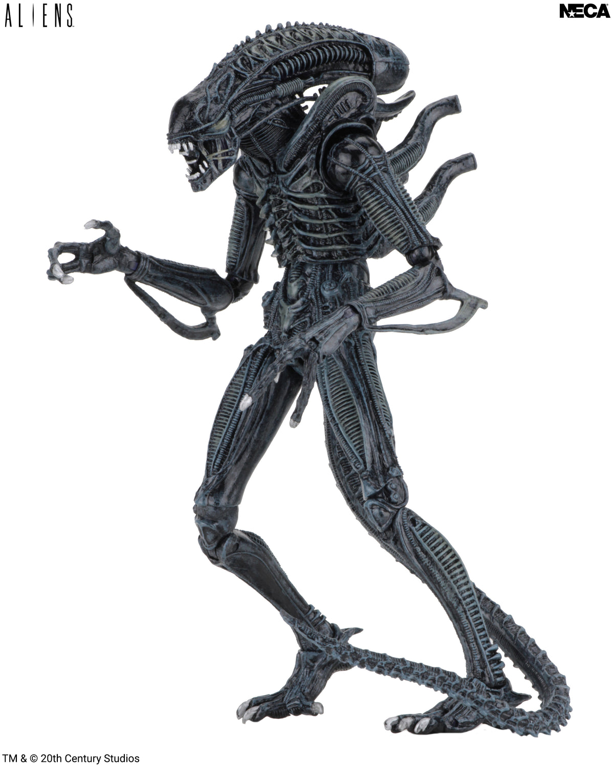 Aliens - Ultimate Blue Warrior 7” Scale Action Figure