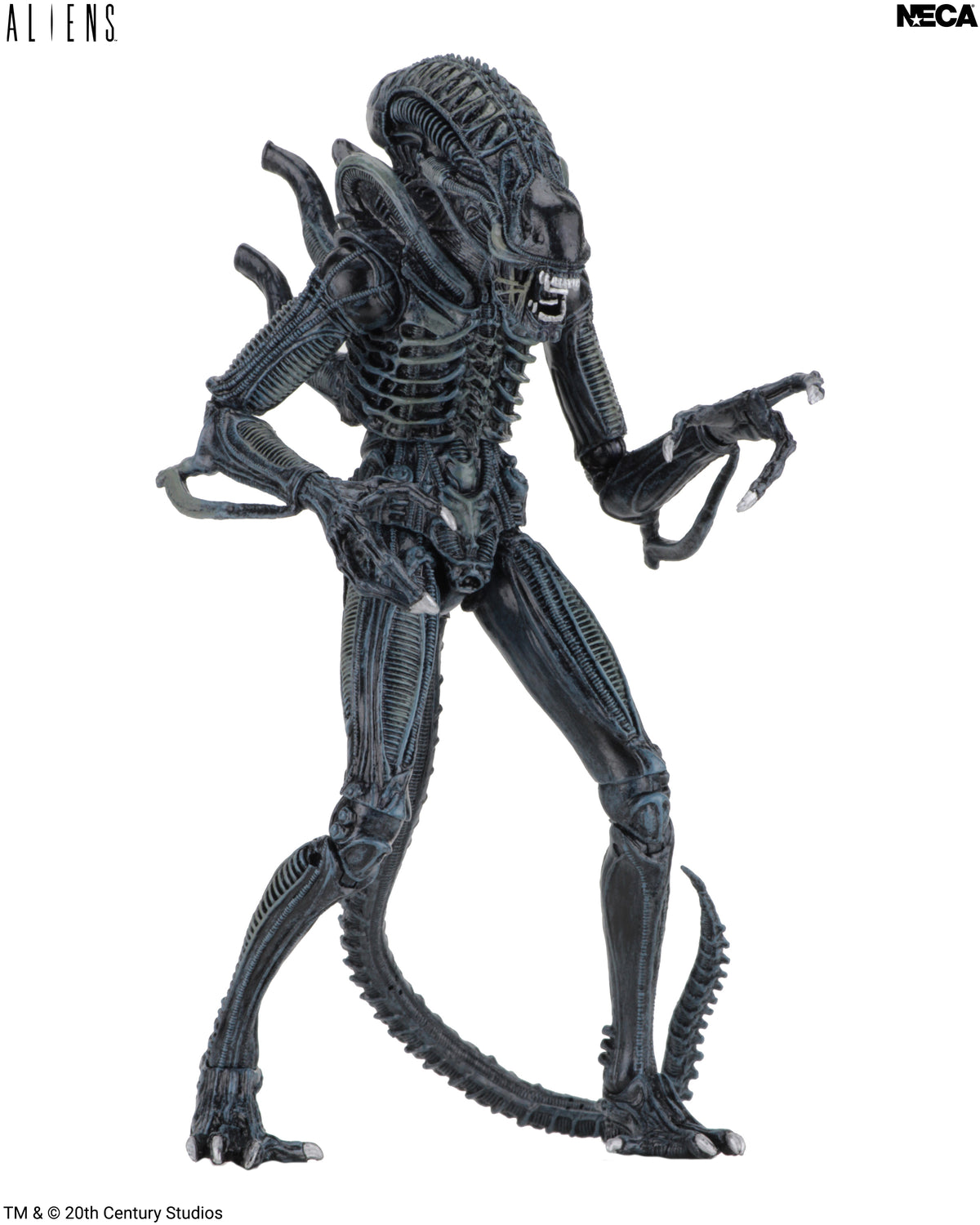 Aliens - Ultimate Blue Warrior 7” Scale Action Figure