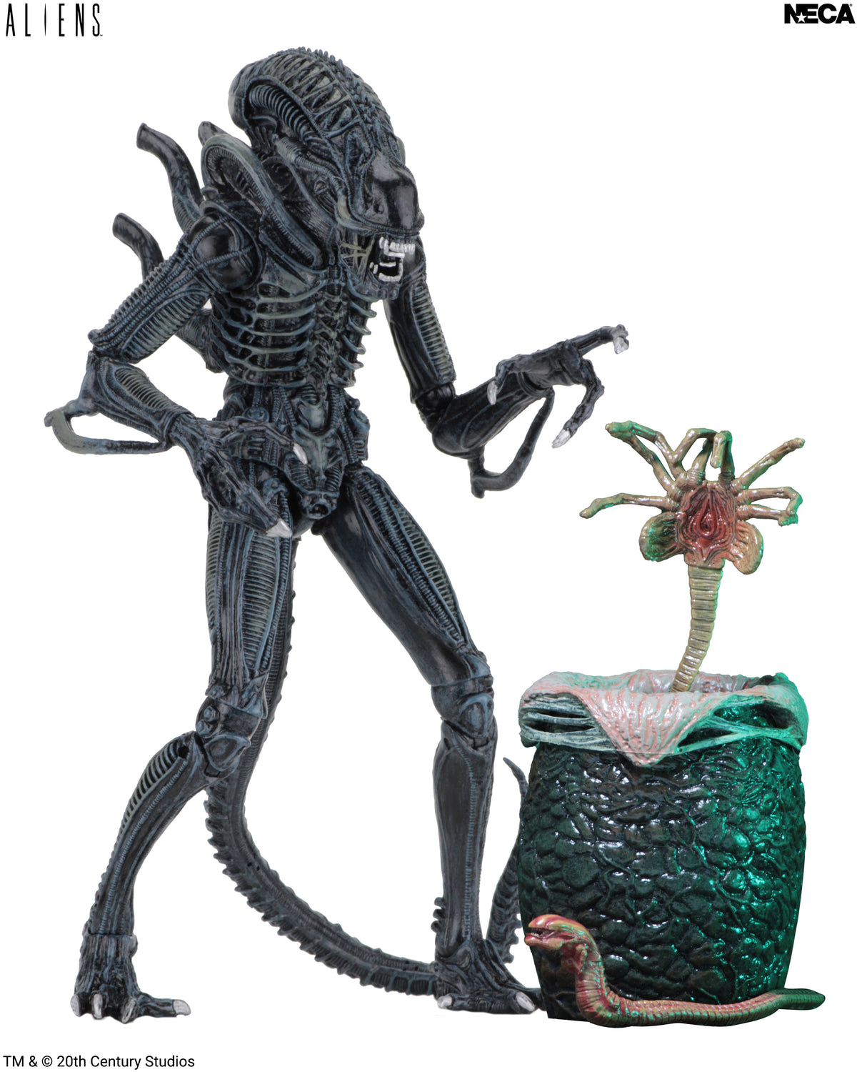 Aliens - Ultimate Blue Warrior 7” Scale Action Figure