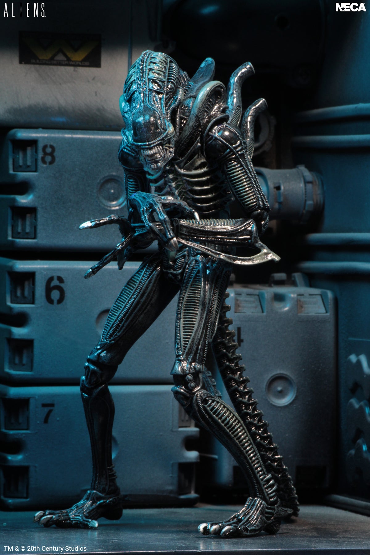 Aliens - Ultimate Blue Warrior 7” Scale Action Figure