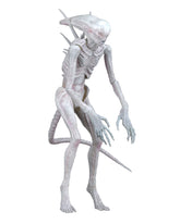 Alien: Covenant - Neomorph 7” Scale Action Figure on the NECA Store