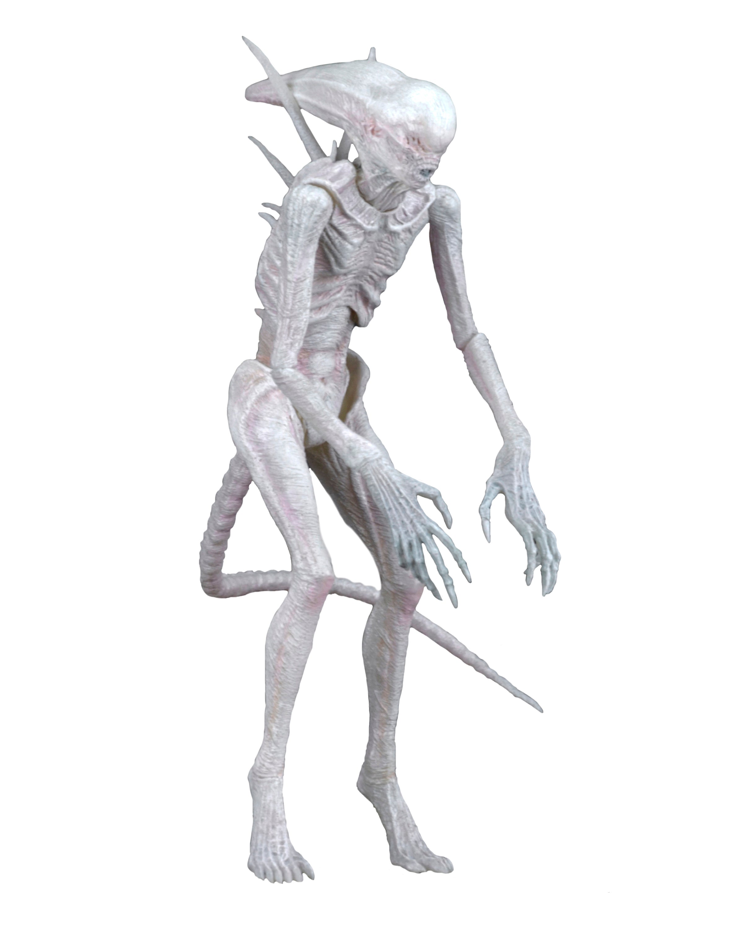 Alien: Covenant - Neomorph 7” Scale Action Figure on the NECA Store