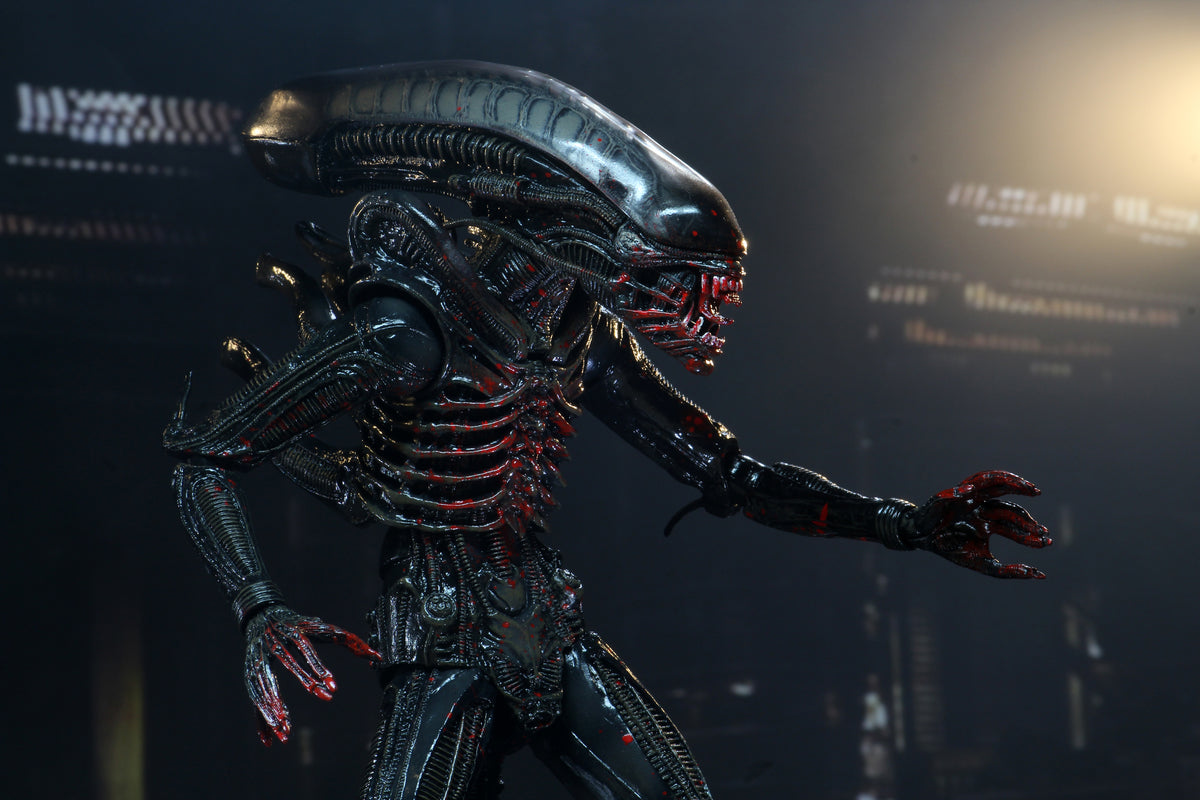 Alien - 40th Anniversary Asst 2 Xenomorph (Bloody) 7" Scale Action Fig ...