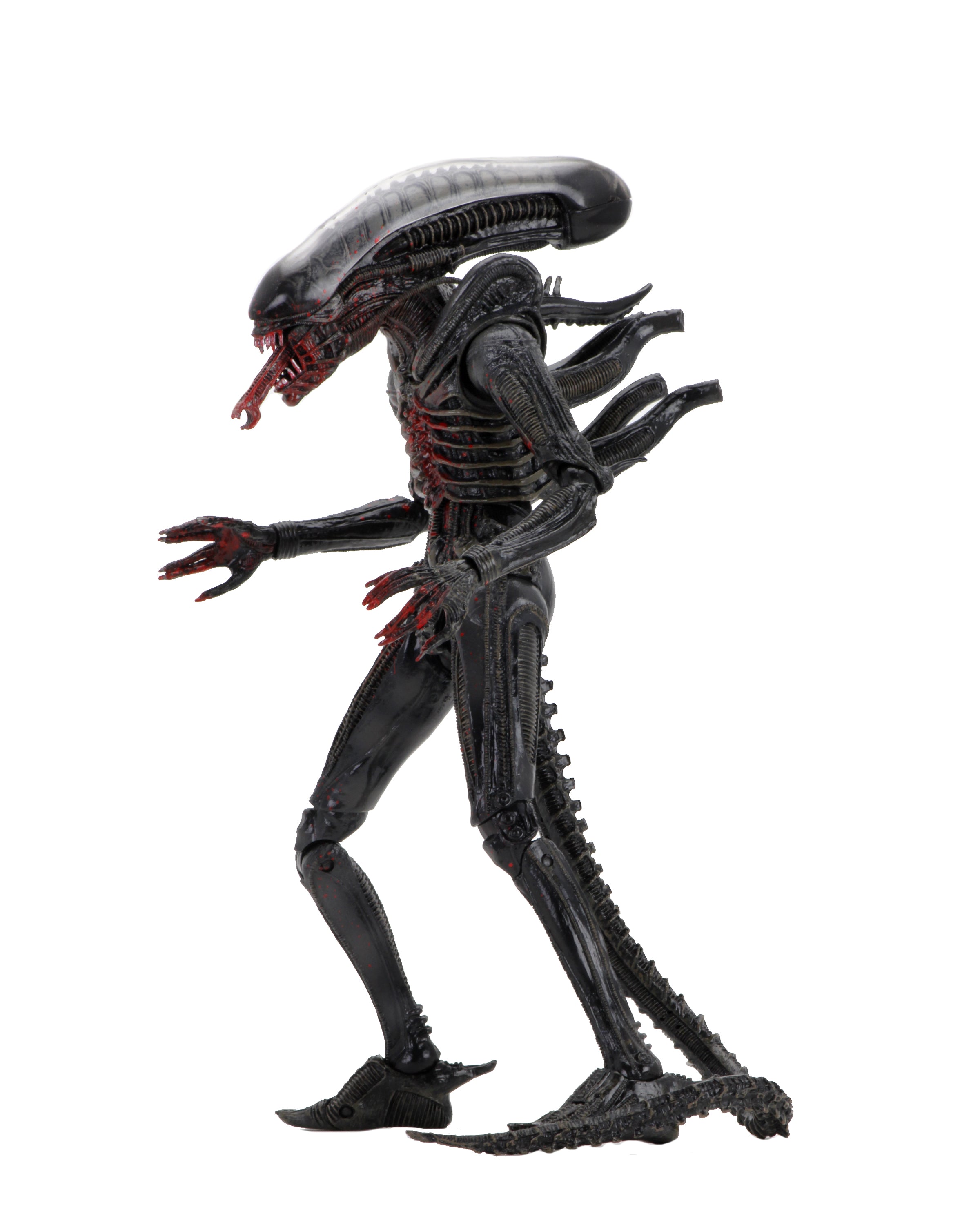 Alien - 40th Anniversary Asst 2 Xenomorph (Bloody) 7