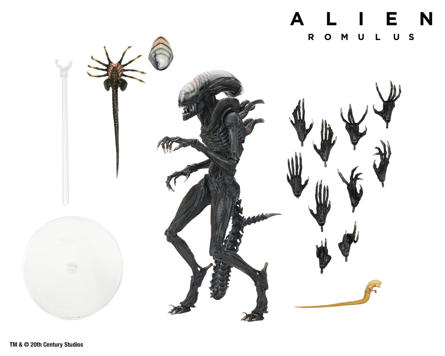 Alien: Romulus Ultimate Scorched Xenomorph 7&quot; Scale Action Figure - NECA