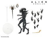 Alien: Romulus Ultimate Scorched Xenomorph 7" Scale Action Figure - NECA