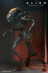 Alien: Romulus Ultimate Scorched Xenomorph 7" Scale Action Figure - NECA