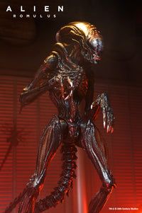 Alien: Romulus Ultimate Scorched Xenomorph 7-inch Scale Action Figure (PRE-ORDER)