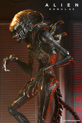 Alien: Romulus Ultimate Scorched Xenomorph 7" Scale Action Figure - NECA