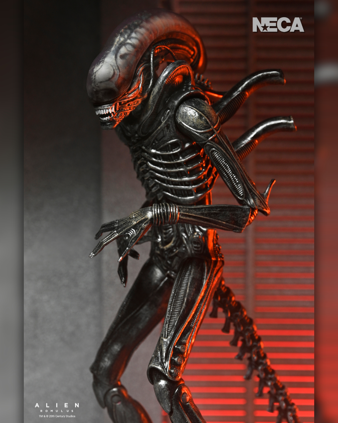 Alien: Romulus - Ultimate Xenomorph XX121 7 Alien: Romulus - Ultimate Xenomorph XX121 7